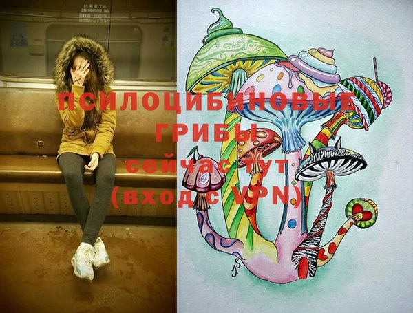 прущая мука Наволоки