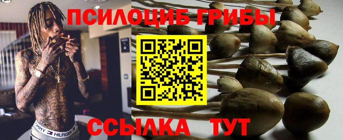 Псилоцибиновые грибы мицелий  цена   Батайск 