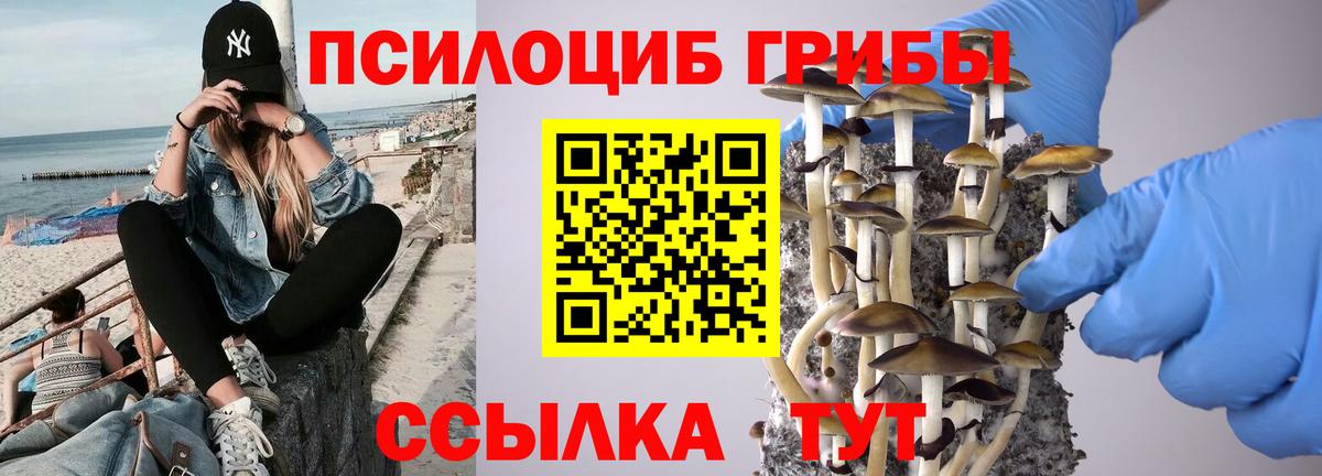 Псилоцибиновые грибы мицелий Батайск